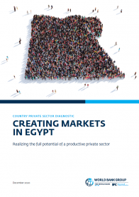 Creating Markets in Egypt: Country Private Sector Diagnostic Creating Markets in Egypt: Country Private Sector Diagnostic